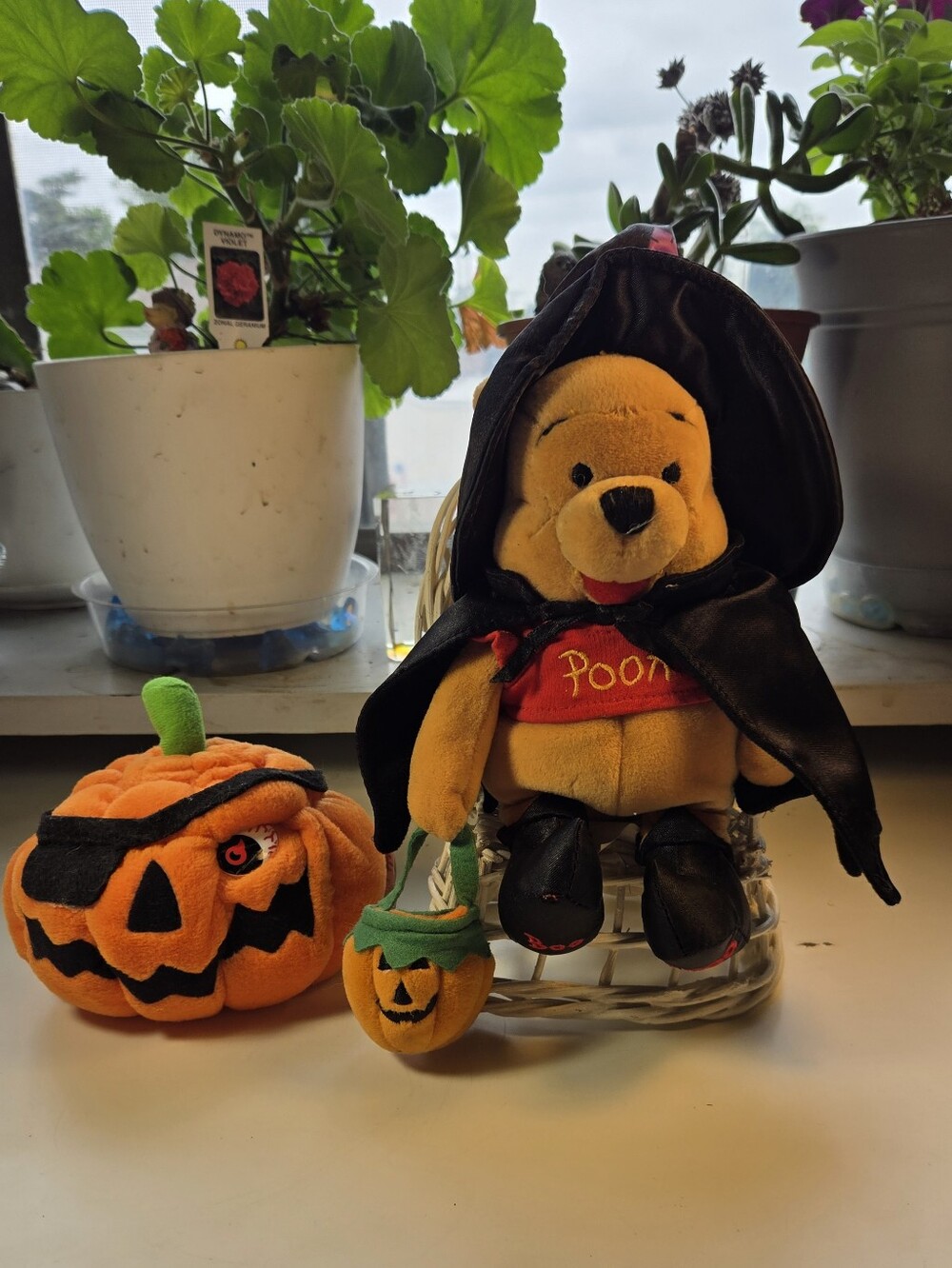 Disney Mouseketoys Witch Pooh and Meanies Pirate Jack Pumpkin Plush Bundle